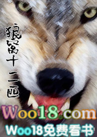 狼窝类似的小说