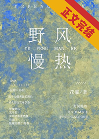 野风车免费全文阅读